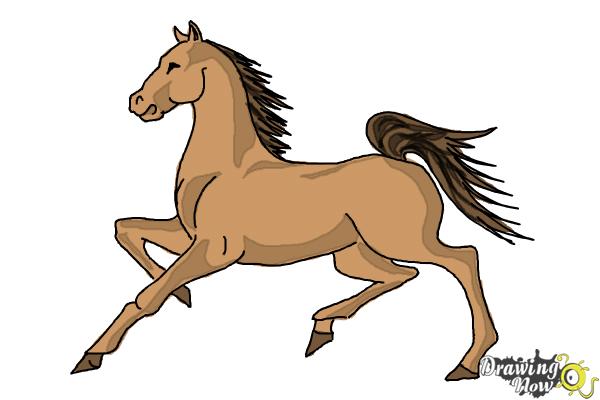 600x400 How To Draw A Horse - Horse Pictures Drawing