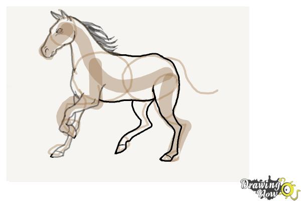 600x400 How To Draw A Horse Step - Horse Pictures Drawing