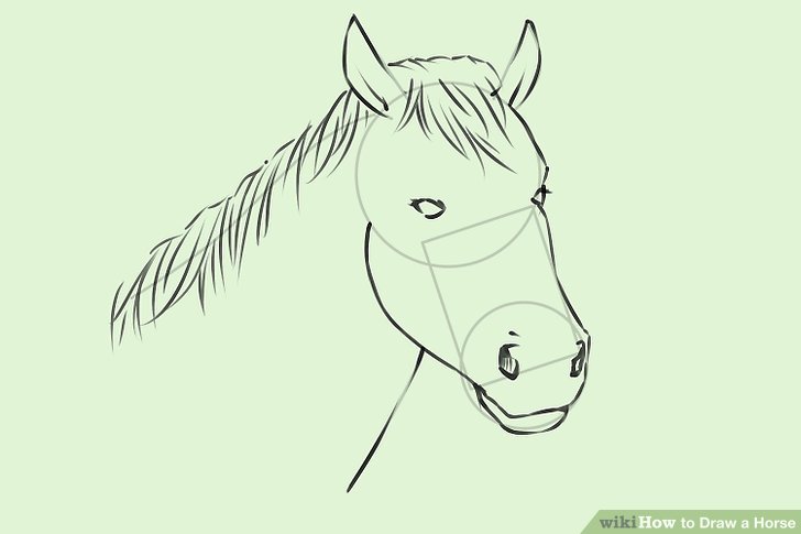 728x485 Ways To Draw A Horse - Horse Pictures Drawing