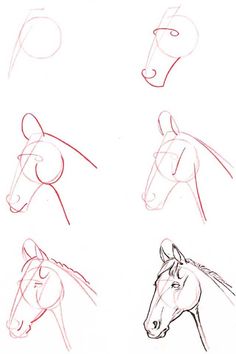 236x354 Simple Horse Drawings For Kids Images Pictures - Horse Pictures Drawing