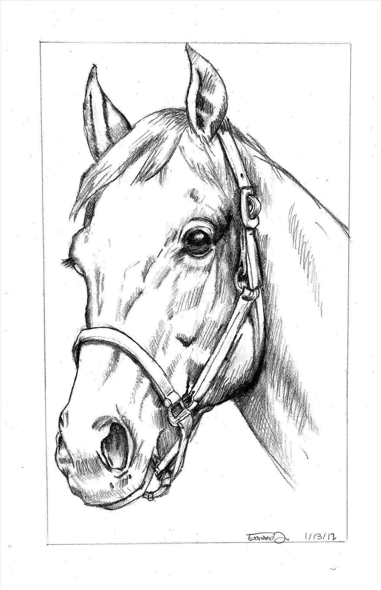 1500x2319 Art Rhwapous Easy Horse Drawing In Pencil Easy Horse - Horse Pictures Drawing