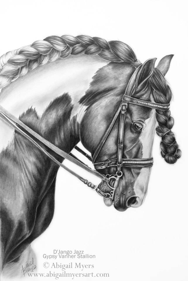 642x960 Gypsy Vanner Horse Portrait Drawing - Horse Portrait Drawing