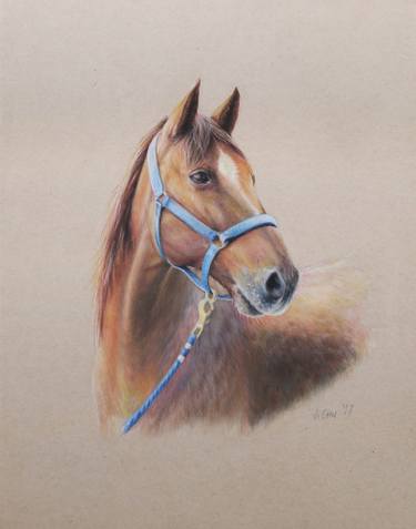 375x477 Horse Portrait Drawing - Horse Portrait Drawing