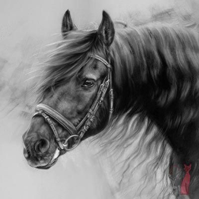 400x400 Pet Portraits In Pastel View Portfolio With Lovely Drawings - Horse Portrait Drawing