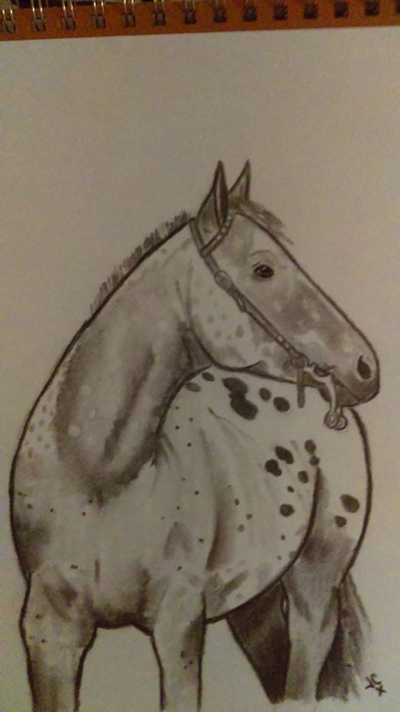 794x1412 Appaloosa Horse Portrait Drawing Western Charcoal Etsy - Horse Portrait Drawing