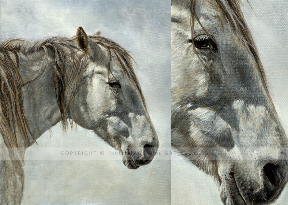940x670 White Horse Painting In Acrylic - Horse Portrait Drawing