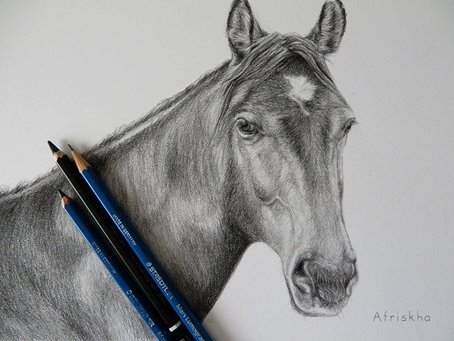 650x488 Horse Portrait Drawing True Image Fine Art - Horse Portrait Drawing