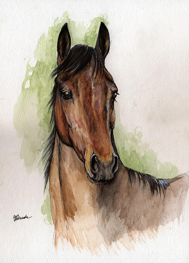 647x900 bay horse portrait watercolor painting painting - Horse Portrait Drawing