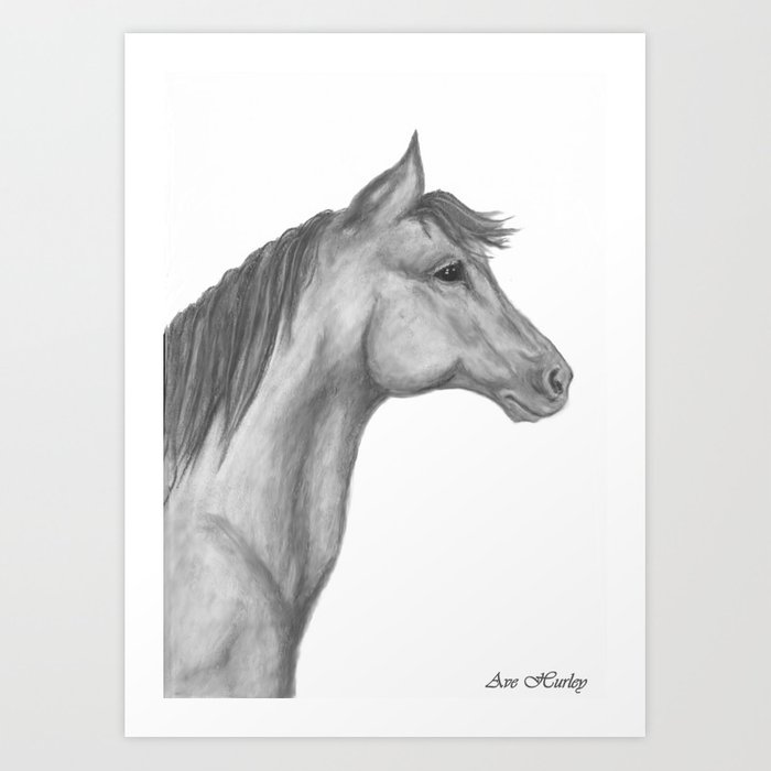 700x700 Horse Profile - Horse Profile Drawing