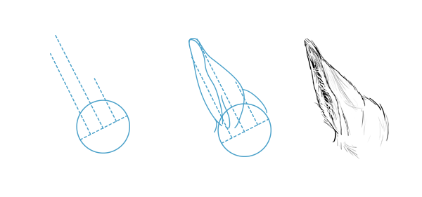 600x281 How To Draw Animals Horses, Their Anatomy And Poses - Horse Profile Drawing