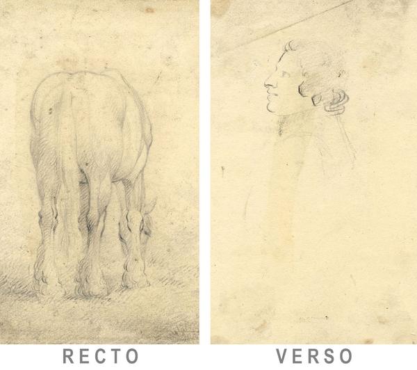 600x532 John Varley Ows, Shire Horse Profile Head Portrait - Horse Profile Drawing