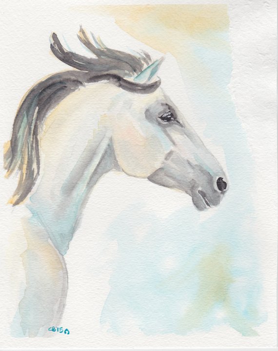 570x720 Original Painting - Horse Profile Drawing