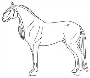 290x250 Quarter Horse Profile - Horse Profile Drawing