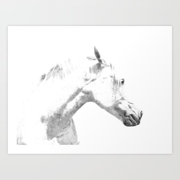 700x700 White Horse Profile Art Print - Horse Profile Drawing