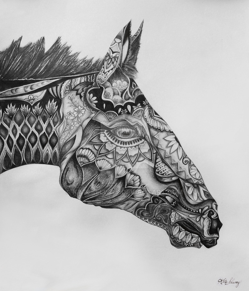 Horse Profile Drawing at PaintingValley.com | Explore collection of ...