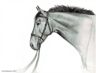 325x250 Horse Profile Bw - Horse Profile Drawing
