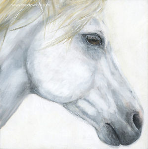 299x300 Cavalia Odysseo White Horse Profile X Art Artwork Print - Horse Profile Drawing