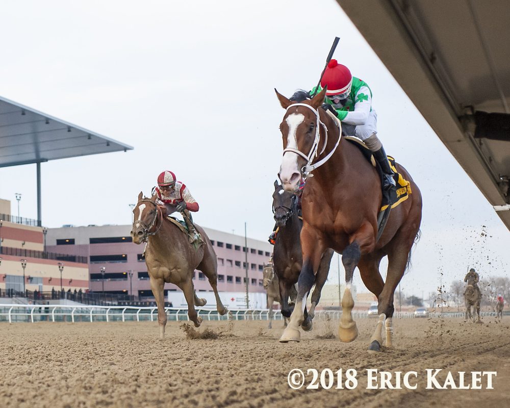 1000x800 back to the drawing board' maximus mischief out of fountain - Horse Racing Drawing