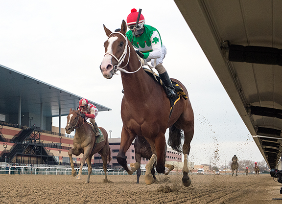 576x417 the week in review back to the drawing board for maximus mischief - Horse Racing Drawing