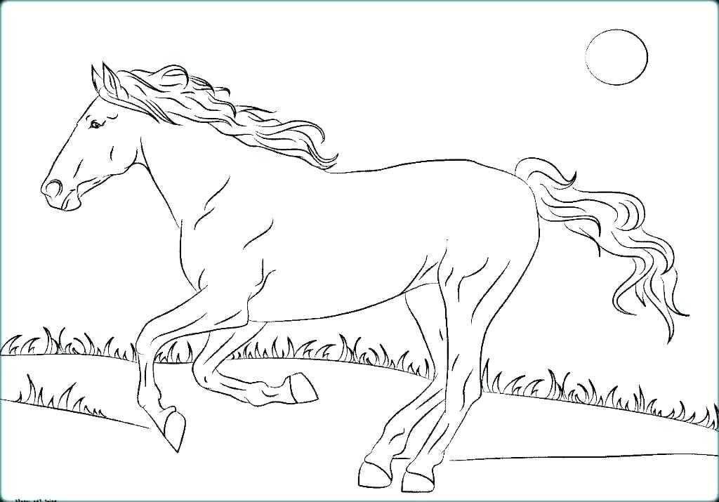 1024x715 horse rearing up coloring pages walking fascinating - Horse Rearing Up Drawing