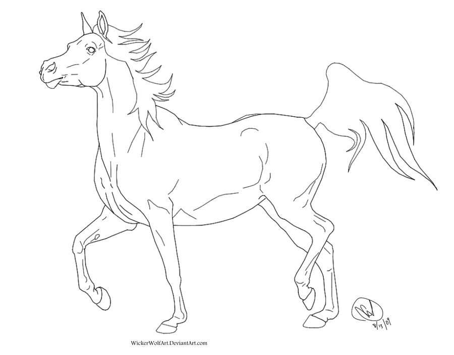 900x703 horse rearing up drawing - Horse Rearing Up Drawing