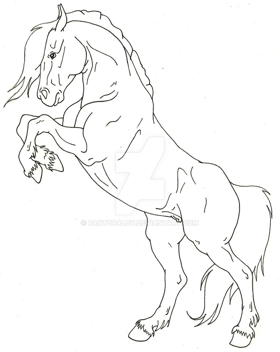 900x1128 Lineart - Horse Rearing Up Drawing