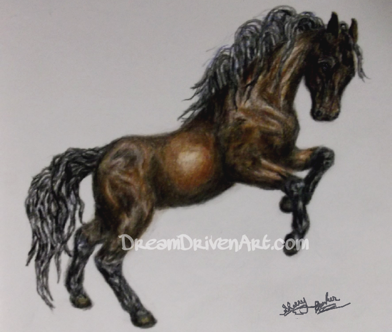 767x650 horse rearing up colored pencil drawing dream driven art - Horse Rearing Up Drawing