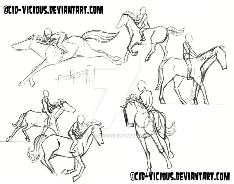 800x629 Wip - Horse Riding Drawing