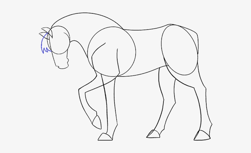 820x502 How To Draw A Simple Horse - Horse Simple Drawing