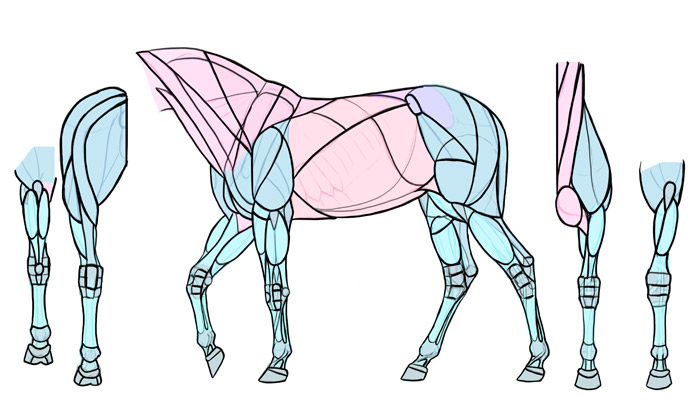 700x415 How To Draw Horses Step - Horse Simple Drawing