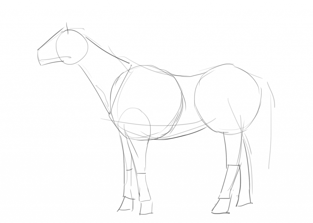 1024x731 How To Draw A Horse Outline In Steps - Horse Simple Drawing