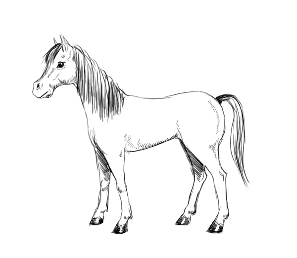 600x522 how to draw a horse using simple shapes the story elves - Horse Simple Drawing