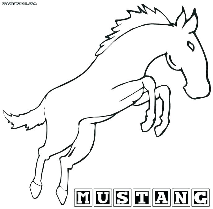 687x676 Simple Horse Coloring Pages Photo Album For Website Girls Head - Horse Simple Drawing