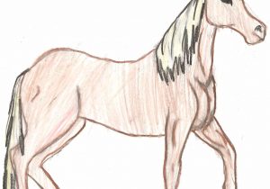 300x210 Simple Pencil Drawings Of Horses Simple Horse Head Drawing Horse - Horse Simple Drawing