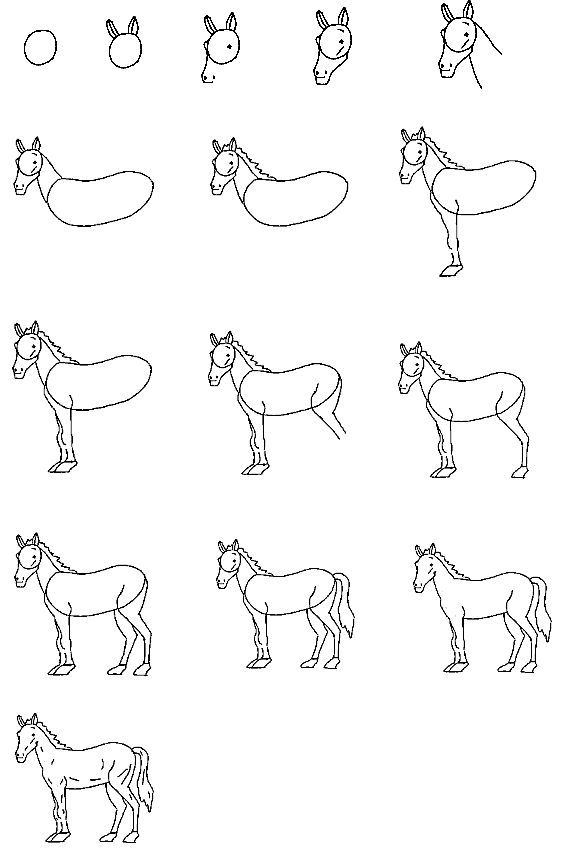 576x860 How To Draw A Horse It Would Be Good For Me To Have A Book Like - Horse Simple Drawing