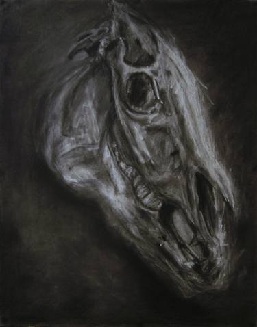 375x478 Horse Skull Drawing - Horse Skull Drawing