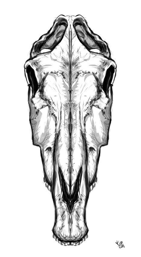 467x847 Skeleton Horse Head Tattoo Ideas Skull Tattoo Design, Horse - Horse Skull Drawing
