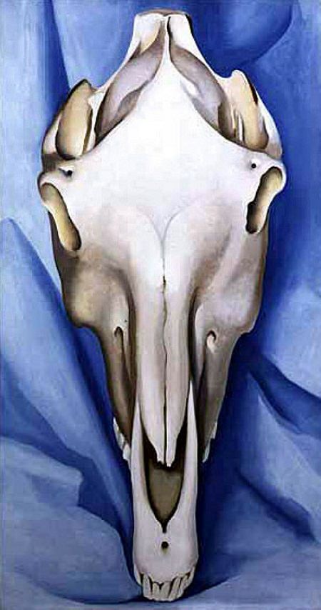 450x854 The Horse's Skull On Blue - Horse Skull Drawing