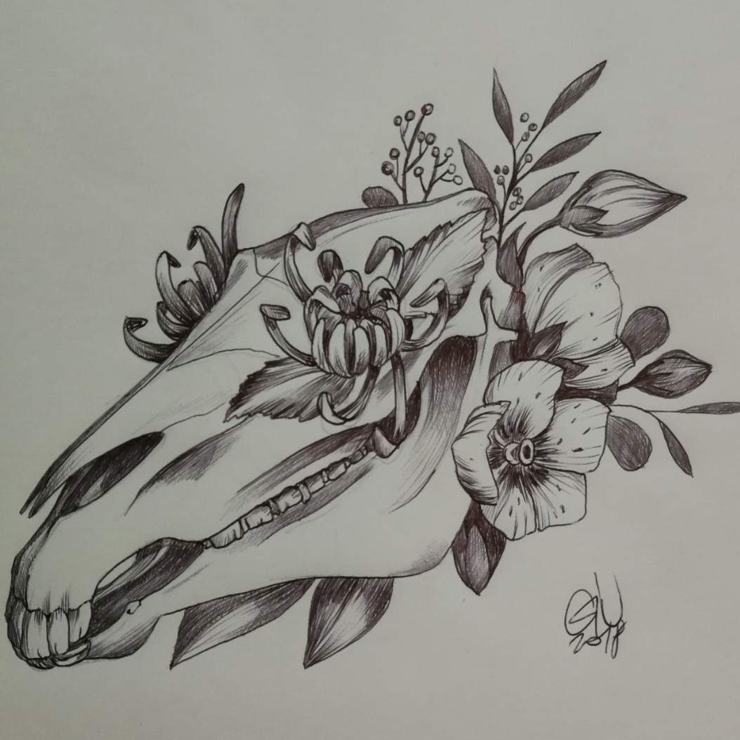 1054x1054 Giulia Brazzo Another Floreal Horse Skull - Horse Skull Drawing