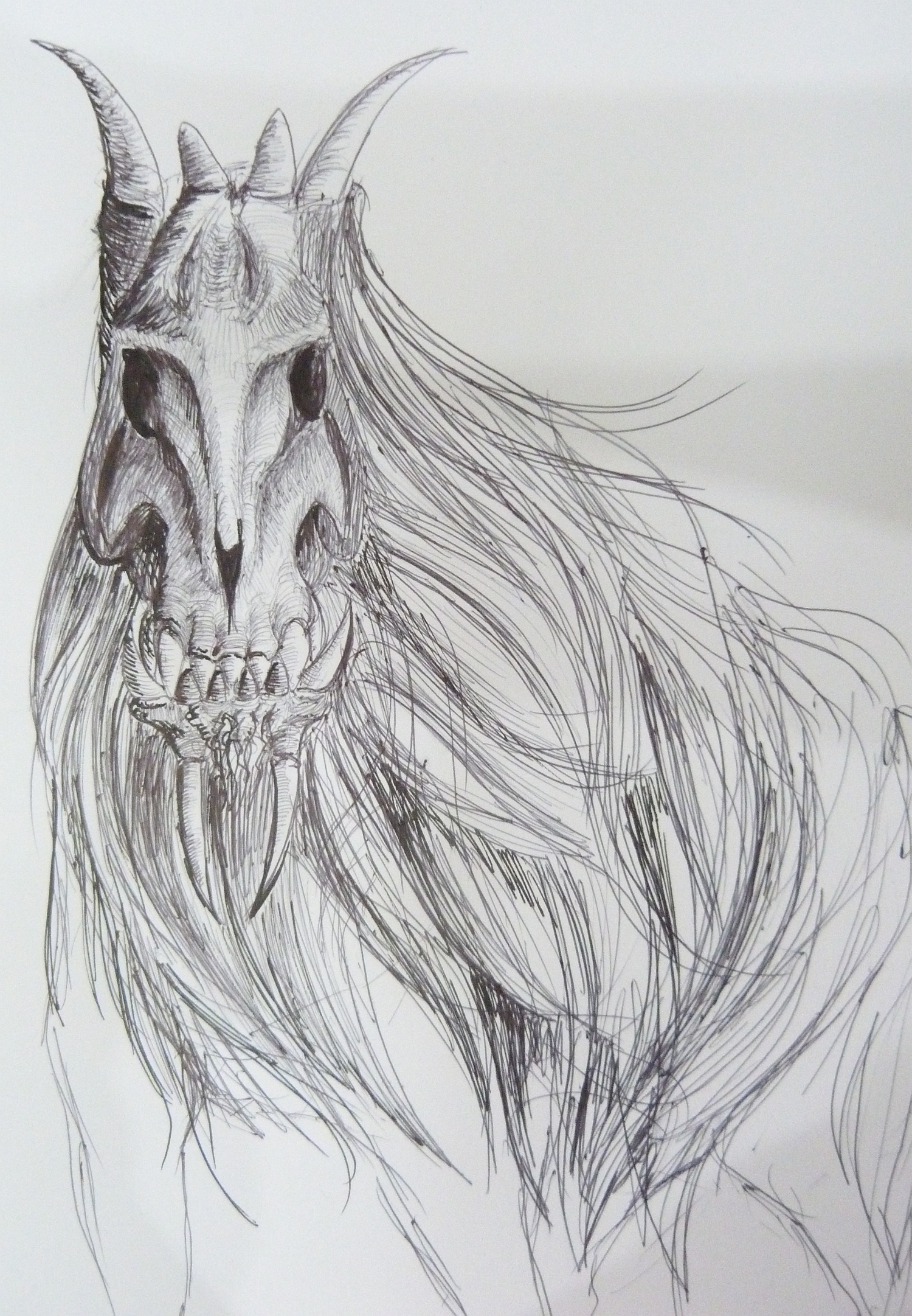 1500x2163 A Half Like Skull Horse Vlower - Horse Skull Drawing