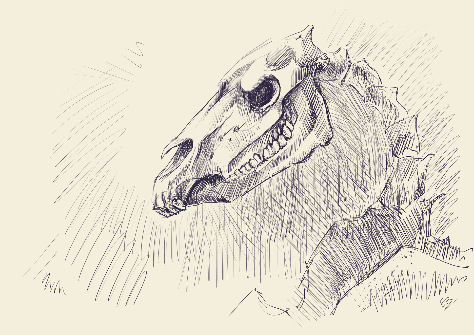 1920x1358 Artstation - Horse Skull Drawing