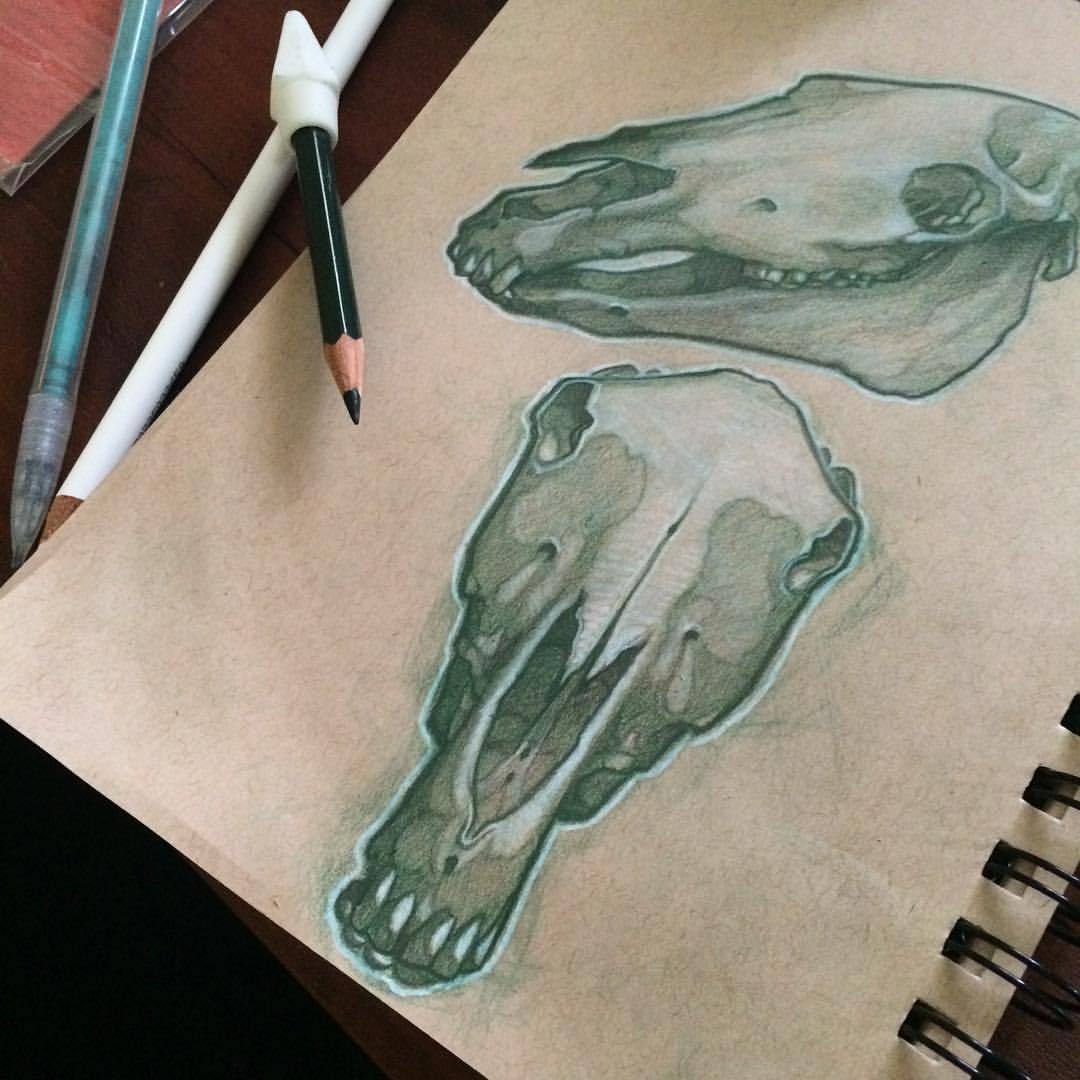 1080x1080 Artofprice Front Of Horse Skull - Horse Skull Drawing