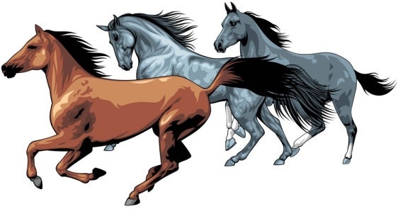 562x295 Free Vector Horse Free Vector Download - Horse Vector Drawing