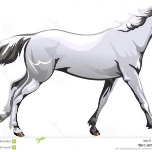 300x300 Royalty Free Stock Photos Running White Horse Vector Drawing Image - Horse Vector Drawing