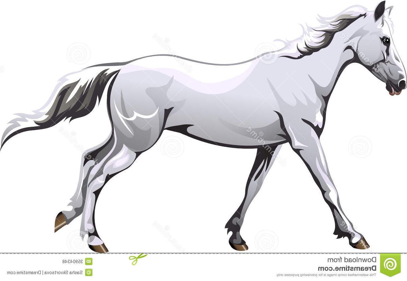 1300x899 Best Running White Horse Vector Drawing Cdr - Horse Vector Drawing