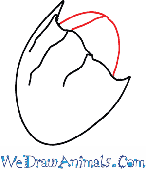 300x350 How To Draw A Horseshoe Crab - Horseshoe Crab Drawing