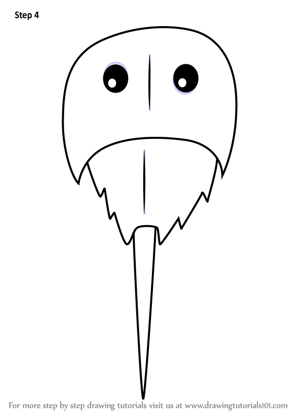 598x844 Learn How To Draw A Cartoon Horseshoe Crab - Horseshoe Crab Drawing