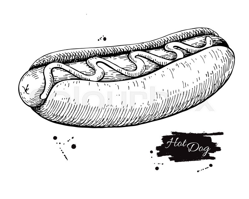 800x638 vector vintage hot dog drawing hand stock vector colourbox - Hot Dog Drawing