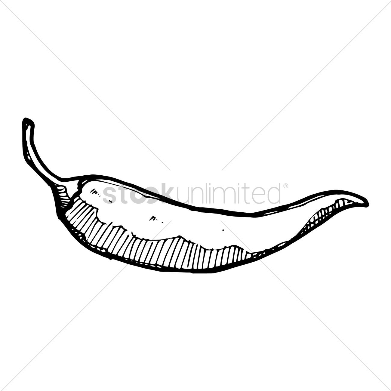 1300x1300 hot chili pepper vector image - Hot Pepper Drawing
