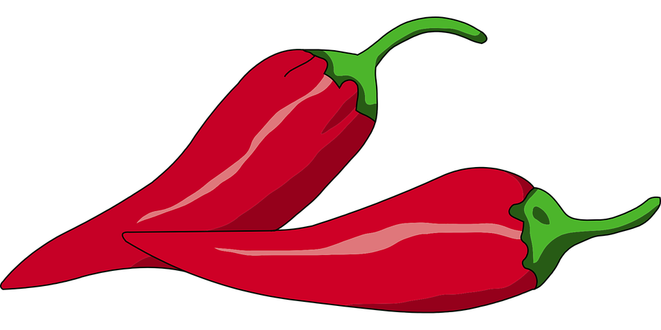 960x480 peppers drawing realistic huge freebie! download for powerpoint - Hot Pepper Drawing